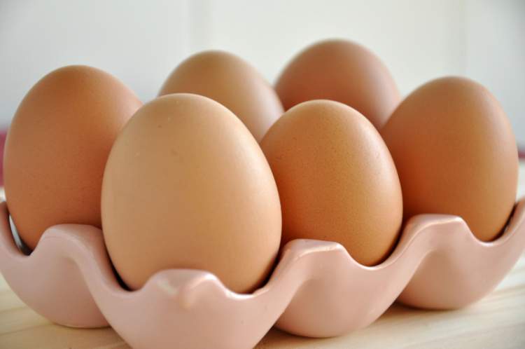 Ovos são alimentos ricos em proteínas