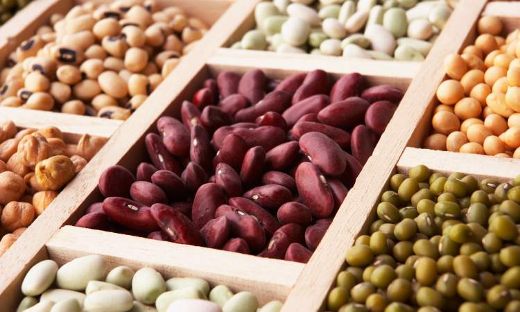 sementes são alimentos ricos em proteínas