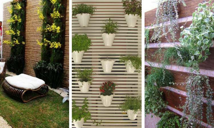 Fotos de decoração com jardim de inverno na vertical