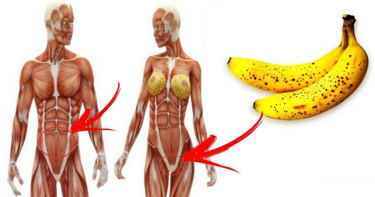 Descubra o que acontece se você comer duas bananas todos os dias