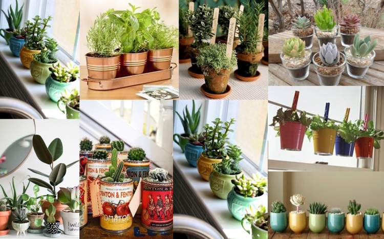 7 Maneiras Criativas de Fazer Vasos Coloridos Para Suas Plantas e Flores