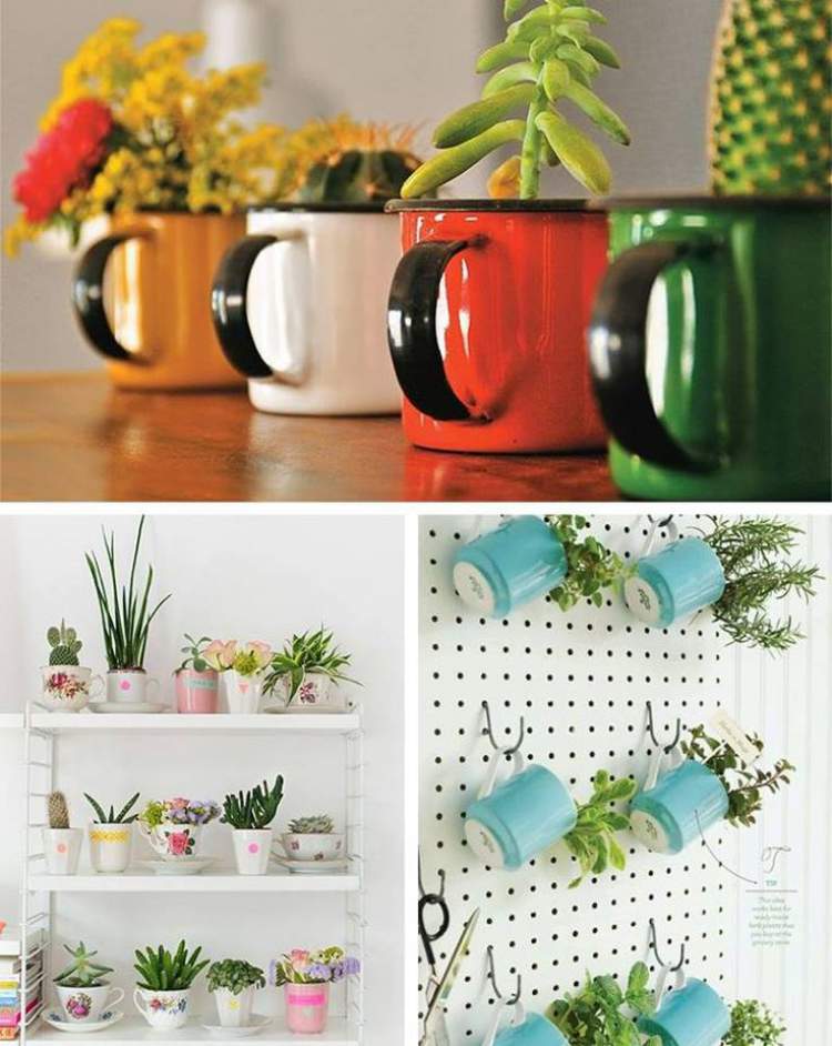 veja como usar canecas coloridas como vasos de plantas e flores