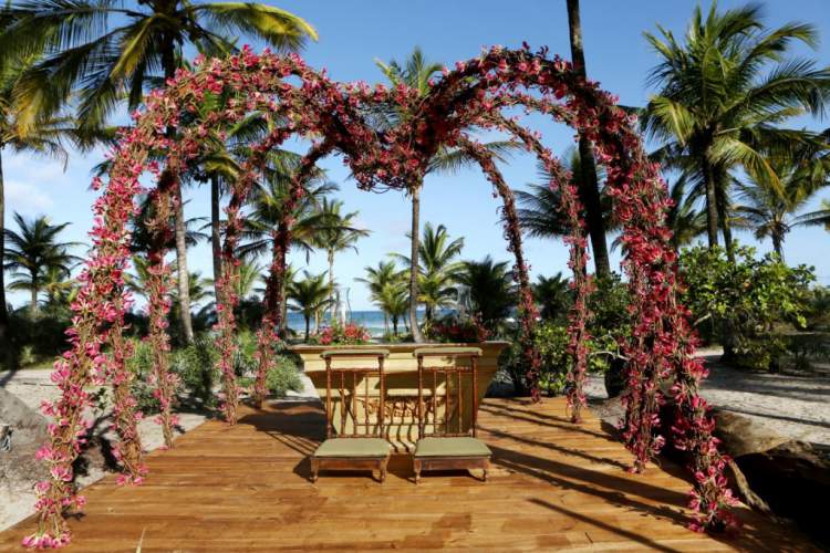Melhores Flores para casamento na praia: Astromélia