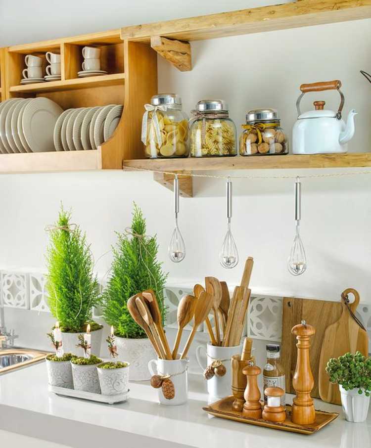 plantas como objetos decorativos de uma cozinha pequena