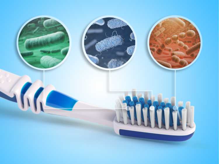 Escova de dente é um dos objetos de casa que são muito sujos